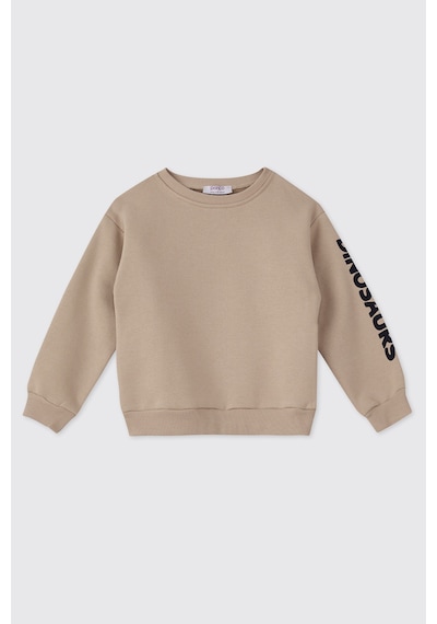 Panço Erkek Bebek Sütlü Kahve Sweatshirt 2521bb08037 Kahverengi