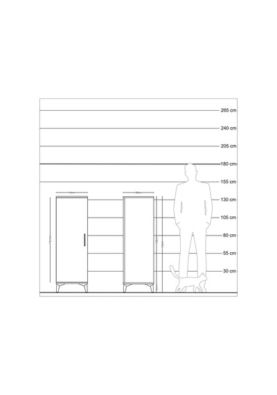 Kronos Dolap 2 Raflı Tek Çekmeceli Tek Kapaklı 44x59x134 Antrasit-çam Aytası