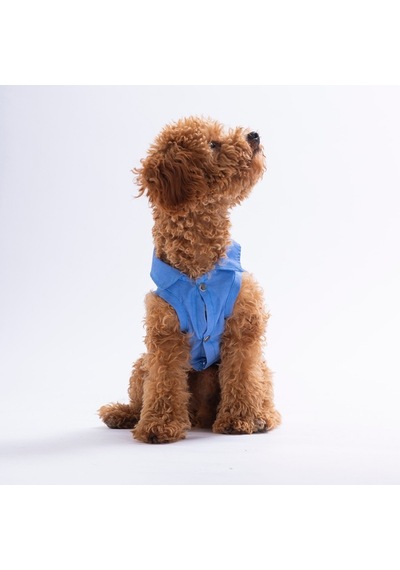 Avo Bliss Denim Avokado Desenli Kot Kedi Köpek Gömleği-kedi Köpek Kıyafeti-kedi Gömlek-köpek Gömlek