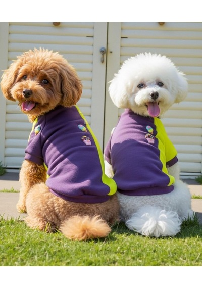 Dondurmalı Patiler Polar Sweatshirt - Ufak Irk Köpekler İçin