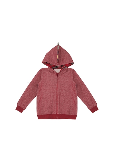 Ejderha Erkek Çocuk Kapişonlu Sweatshirt