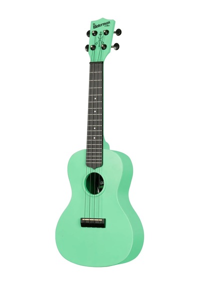 Kala Waterman Recycled Concert Ukulele Sea Foam Green