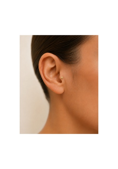 14 Ayar Altın Minimal Deniz Kabuğu Tragus Küpe Vidalı Piercing