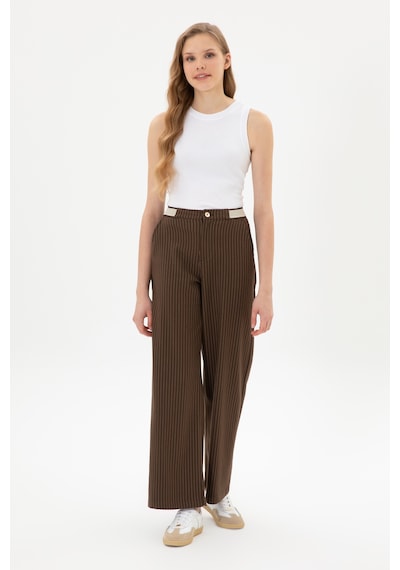 U.S. Polo Assn. Kadın Kahverengi Çizgili Loose Fit Kanvas Pantolon 50317169-VR029