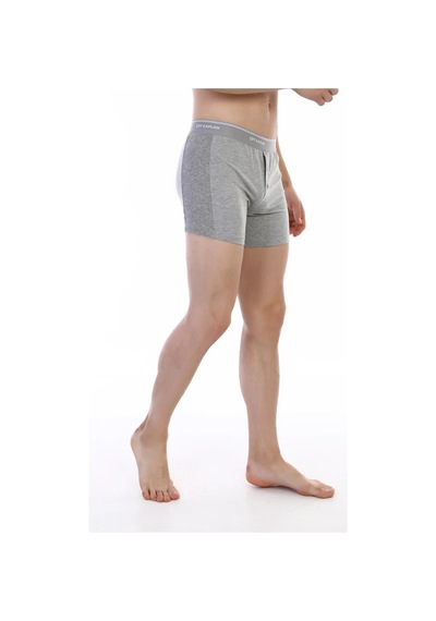 Epilons Zenvial Çift Kaplan 880 Elastanlı Erkek Boxer Zenviall2 Gri