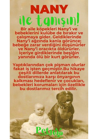 Petjoo 17.Nany Yeşil-Kırmızı Qr'lı Köpek Künyesi