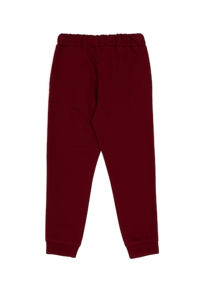 U.s. Polo Assn. Kız Çocuk Bordo Eşofman Altı 50296289-vr014 Bordo U.s. Polo Assn. Kız Çocuk Bordo Eşofman Altı 50296289-vr014 Bordo