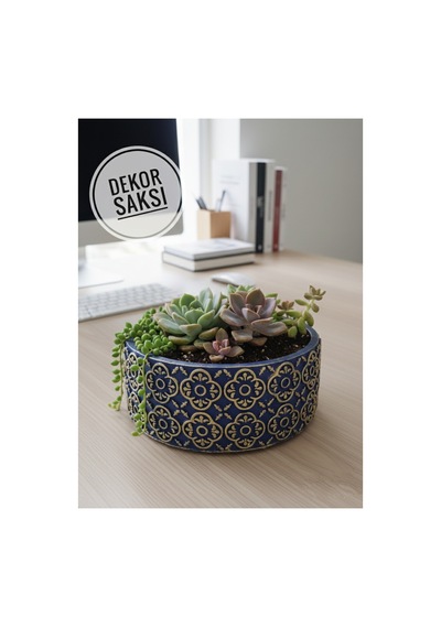 Beton Saksı Sukulent Bonzai Teraryum Arajman Çiçek Saksısı 18x7cm Bitkiler Hariç Lacivert-altın