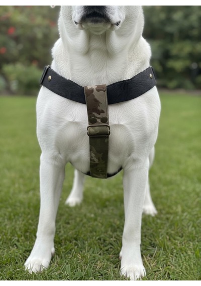 Köpek Göğüs Tasması Ayarlanabilir Orta Ve Büyük Irk Kolon Kordon Kamuflaj & Siyah