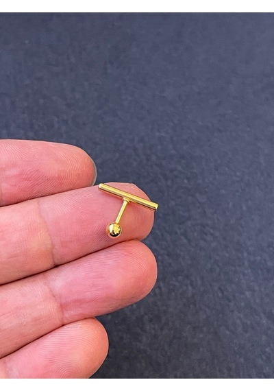 Ömürlük Paslanmaz Kararmaz Çizgi Altın Rengi Horizontal Estetik Tragus Helix Kıkırdak Piercing Şeffaf