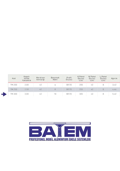 Tek Parça Alüminyum Merdiven 3 Metre 10 Basamaklı Tm.300 300 Cm'ye Kadar