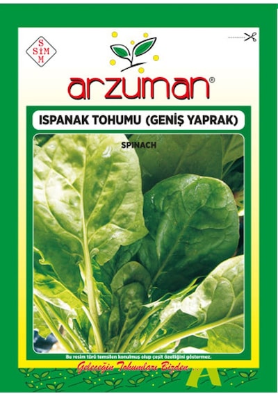 Matador İthal Ispanak Tohumu 25 Gr
