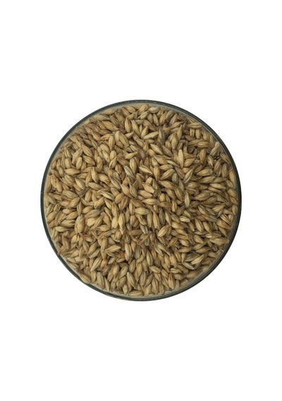 Hitit Malt Pale Arpa Maltı 1 KG