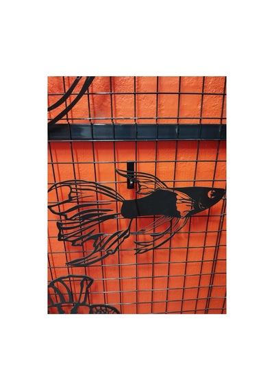Lepistes Işıklı 50cm