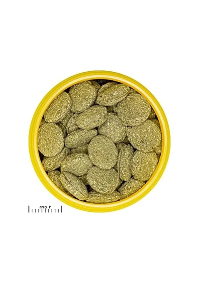 Vatozlar İçin 50 Adet Tablet Yem, Pro Novo Pleco Wafer