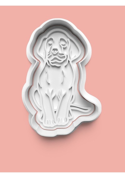 Vizsla Köpek Figürü Kurabiye Kalıbı Ve Şeker Hamuru Kalıbı