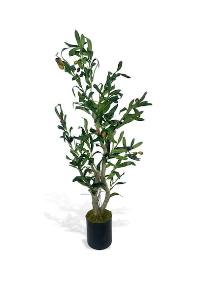 Yapay Çiçek Zeytin Ağacı Doğal Gövdeli Galvaniz Siyah Saksıda 95cm Yapay Ağaç