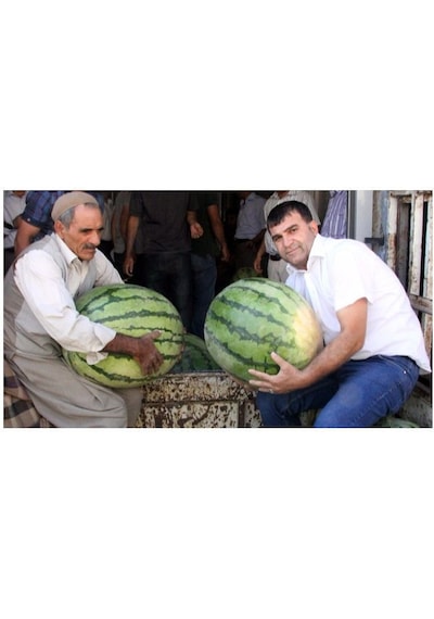 Meşhur Diyarbakır Karpuzu Tohumu Karpuz Tohumu 10 Tohum + T