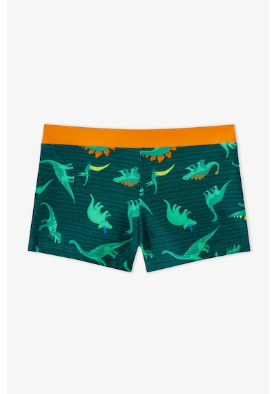 Penti Renkli Erkek Çocuk Dino Energy Trunk Mayo