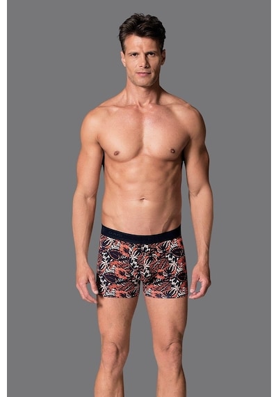 Eros 019 Erkek Compact Yaprak Boxer Çok Renkli