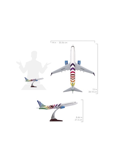 Zekupp - Maket Uçak - Boeing 737-800 1/100 - RENKLİ ÖZEL TASARIM Model Uçak