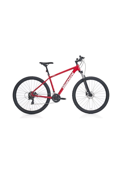 Bianchi Magma 29.3 Tourney 53 Kadro Kırmızı Kırmızı