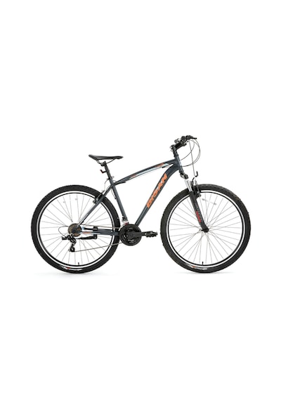 Bisan Leon Dağ Bisikleti 48 Cm V 29 Jant 21 Vites Mat Gri Turu... Gri - Turuncu