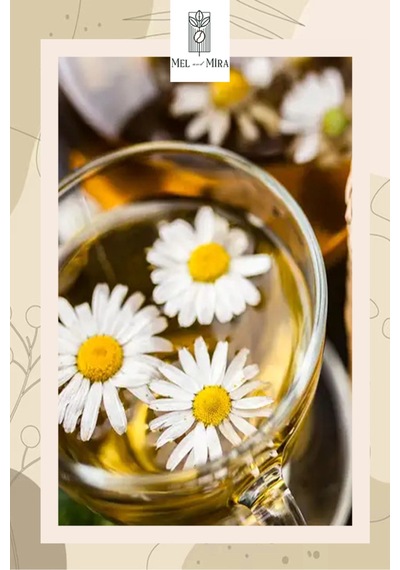 Premium Papatya Çayı 50g, Daisy, Asteraceae, Chamomillae Romanae