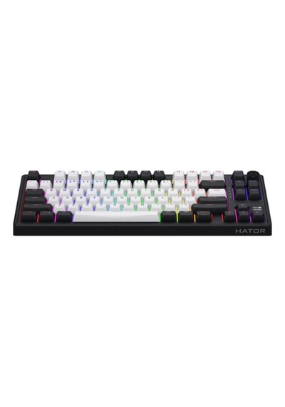 Skyfall Mag Ultima Wireless White-black %80 Aurum Ice Sw 8khz He Rgb Kablosuz Klavye Htk3880
