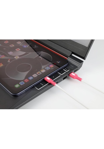 Coral Usb A-c Hızlı Şarj Kablosu, Beyaz Kablo, Beyaz/pembe Uçlar 120 Cm