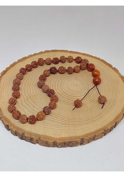 Rudraksha Tohum Düğümlü 33lük Tesbih 51622