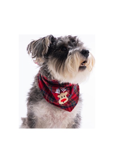 Rudy Bounce Geyik Nakışlı Ekose Desen Kırmızı Kedi Köpek Fuları Pet Bandana Köpek Bandanası