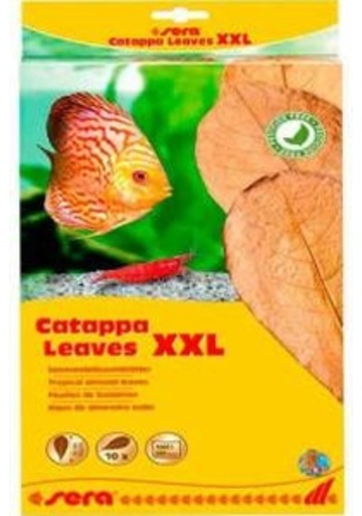 Sera Catappa Yaprağı Xxl 32 Cm