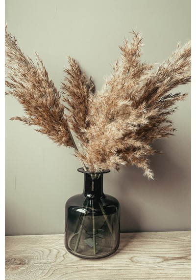 Dekoratif 7'li Natural Pampas 100cm Boyunda Doğal