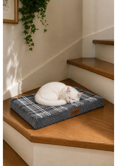Kedi Ve Köpek Yer Minderi Ve Matı Üst Kalite Yıkanabilir Kılıflı Fermuarlı 5 Cm Süngerli Kaydırmaz Taban Kedi Ve Köpek Yatağı Ekose Gri 1616614993 Kedi Ve Köpek Yer Minderi Ve Matı Üst Kalite Yıkanabilir Kılıflı Fermuarlı 5 Cm Süngerli Kaydırmaz Taban Kedi Ve Köpek Yatağı Ekose Gri 1616614993