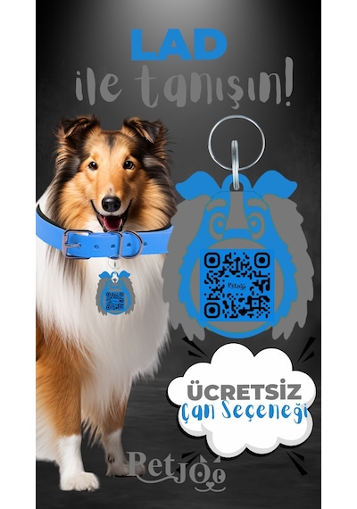 Petjoo 23.Lad Gri-Mavi Qr'lı Köpek Künyesi