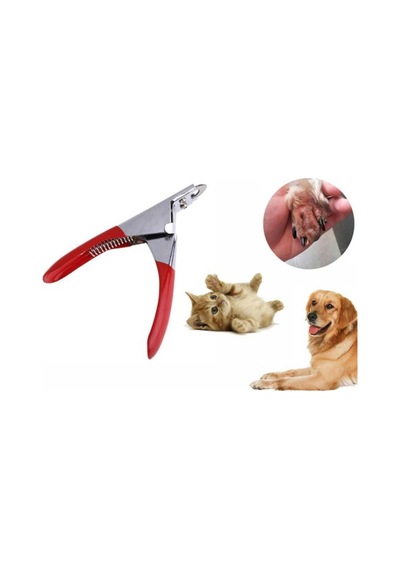 1 Adet Giyotin Tırnak Makası Kedi Köpek Paslanmaz Çelik