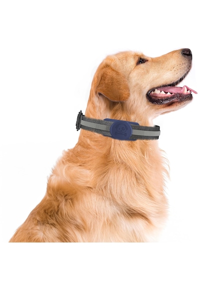 Buff Tagsafe Dogcol Taşınabilir Anahtarlık Apple Uyumlu AirTag Kılıf Blue