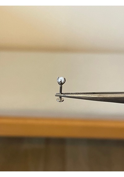 316 L Cerrahi Çelik Pençe Modeli Doğal Taşlı Kıkırdak Helix Tragus Piercingi Beyaz