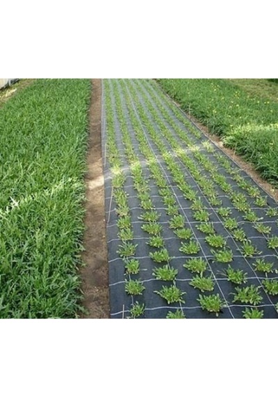 Tr Siyah Sera Taban Örtüsü 3x5 Metre