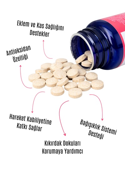 Petpower Kedi Köpek Kas Ve Kıkırdak Glukozamin, Kondroitin, Msm Tablet 75 Adet