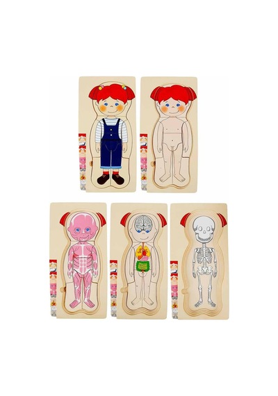 Tahta Puzzle 4x7 Parça İnsan Vücudu