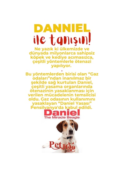 Petjoo 21.Danniel Kırmızı-Sarı Qr'lı Köpek Künyesi