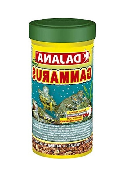 Sürüngen Ve Kaplumbağa Yemi 100 Ml, Besleyici Ve Lezzetli