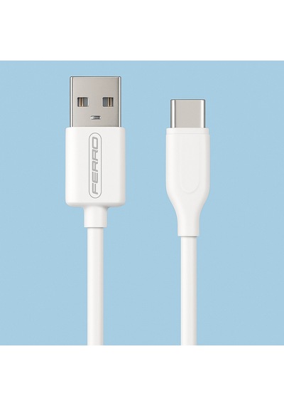Ferro Fc-14 Usb & Type-c Hızlı Şarj Ve Data Kablosu 3.0 Amper