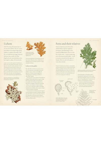 Rhs Botany For Gardeners: The Art And Science Of Gardening Explained & Explored