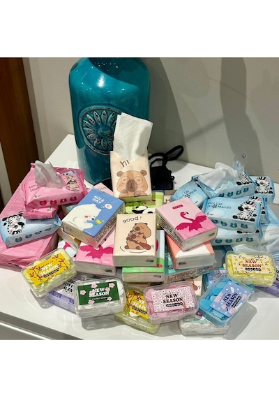 Pratik Hijyen Seti-9 Paket Kağıt Mendil - 8 Paket Mini Islak Mendil - Sihirli Sabun + Saklama Kabı