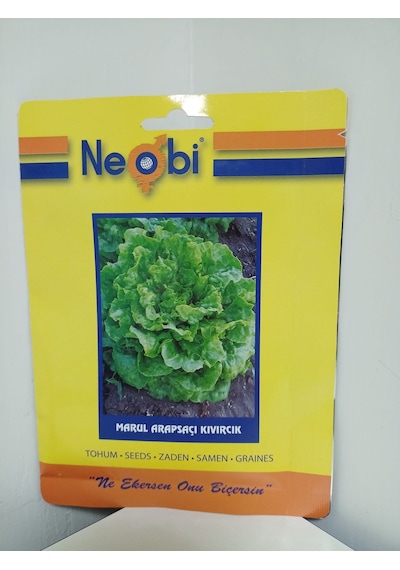 Neobi Arapsaçı Kıvırcık Marul Tohumu 10 Gr 1 Adet