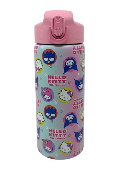 Hello Kitty And Friends 600 Ml Çelik Matara 3485 Çok Renkli