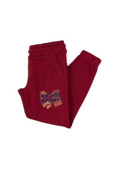 U.s. Polo Assn. Erkek Çocuk Bordo Eşofman Altı 50316602-vr014 Bordo